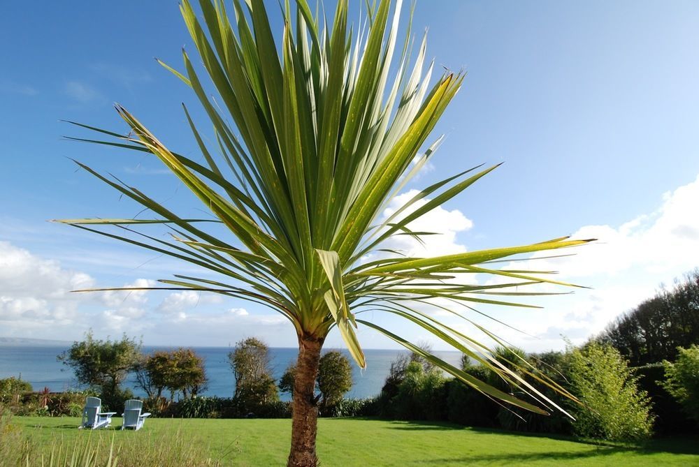 Trevalsa Court Hotel Mevagissey Ngoại thất bức ảnh